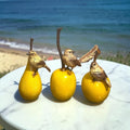 Peaceful Bird Family Sculpture for Home & Gifting